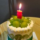 머스캣 | 석촌베이커리 옘미당 - 남자친구 생일케이크, 샤인머스캣케이크 선물후기