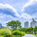 중앙공원-2 이미지