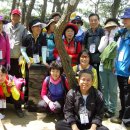 숭진초등학교 이미지