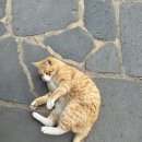 마시뜰(계산점) | [국내여행 : 대구 가볼만한 곳] 대구 근대문화골목 스탬프 투어(근대로의 여행)