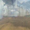 장수삼일농장 이미지