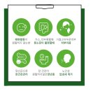 프롬안스 | [프롬안스 매실] 똥매실 한달 후기 (내돈내산, 솔직후기)