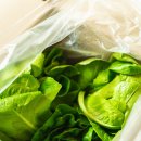 코리아농장 | 경주채소 경주야채 호야농장 싱싱한 수경재배 채소농장 방문 후기