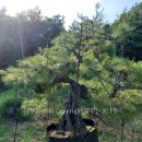 토송농장 이미지