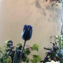 오일 파스텔 드로잉 이미지