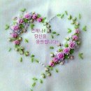 아이조아 이미지