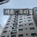 오로그 | [#집사로그] 이지베이션 bs슬릭 자토바이 후기편