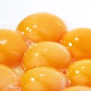 잠실동물병원 이미지