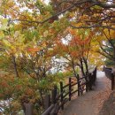 단비공원 이미지