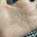 블챌이 다시 시작이라고라 ..