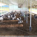 둥지목장 이미지