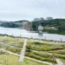 통통포크 | 동탄호수공원맛집 텍사스랜치 바베큐 포크립플래터 후기