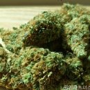 윈앤파트너스