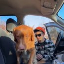 데려가개 이미지