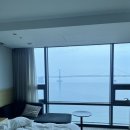 부산광역시 수영구 광안해변로 209   (광안동) 대우아이빌 앞 | 부산/대전 여행 | 광안리 뉴욕인햄버거,미루꾸커피부터 대전 성심당 빵지순례,대전갈비집 로컬 포장마차...