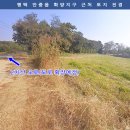 평택공단 삼거리 Daum카페