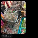 뽀야분식 | 260711 행운의 거북이를 드립니다 🐢