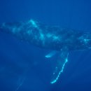 gc-camera-053 이미지