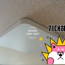 대원전업사 이미지