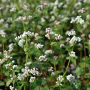 근자농장 이미지