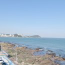 송정동 해안도로 이미지