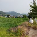 제내2리 티스토리