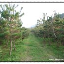 소성농장 이미지