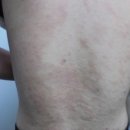 서초대로50길 8 이미지