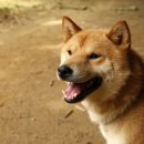 완수농장 이미지