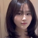 시그널헤어