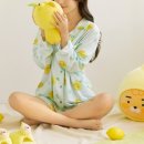 레몬하울 이미지