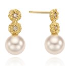 앙스모멍 이미지