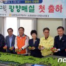다압축산 뉴스1
