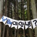 남해-129 이미지