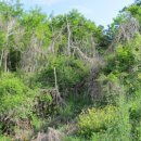 남해-130 이미지