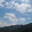 유명산골