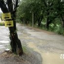 황구지천 이미지