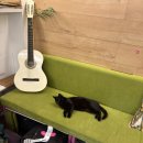 애플코리아(유) 가로수길점 | 여행 셋 튀르키에-이스탄불(3)