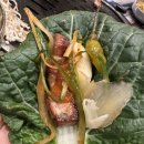 더블축산 이미지