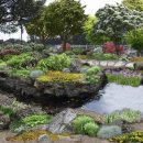 안덕면 명상 이미지