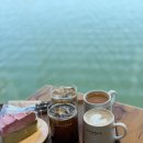 평원애견 | 경기도에서 즐기는 프랑스 여행? 남양주 카페 발랑솔 이국적인 무드