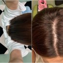 MZ따라잡기 인스타그램 이미지