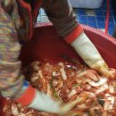 어매보신탕 이미지