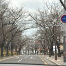 백복수반 | [뽈뽈먹빵] 대구 앞산 쫄깃 치아바타, 바게뜨 맛집 레꽁프 오픈런