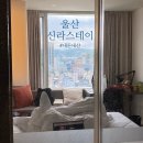 딤채스테이 울산무거점 | 삼산동 호텔 신라스테이 울산 내돈내산(+맛집 추천, 주차, 뷰꿀팁)
