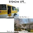 유성여자고등학교매점 - 포항시 북구 우창로 43 | 유성여자고등학교매점