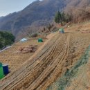 가평땅부동산중개사무소 이미지