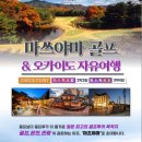 원더풀투어(주)