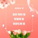 금빛나래태권도 이미지