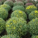 주산산업고등학교 이미지